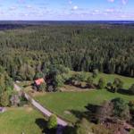 Haus mit rotem Dach in Wald und Grünflächen