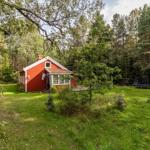Red wooden house with garden and trampoline in the forest.
