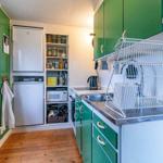 Küche mit grünen Schränken, Kühlschrank, Spüle und Geschirrtrockner.