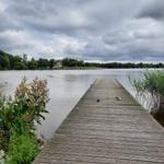 Holzsteg führt über ruhiges Wasser zu einem Ufer mit Bäumen und Gras.