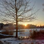 Blick auf einen See bei Sonnenuntergang mit einem kahlen Baum und Schnee am Ufer.