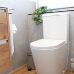 Bad mit Toilette, Holzregal und Pflanze an der Wand.