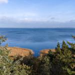 Weitläufiger Blick auf ruhiges Wasser mit Windkraftanlagen im Hintergrund und Wald im Vordergrund.
