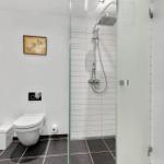 Bathroom with shower, toilet, and white walls.