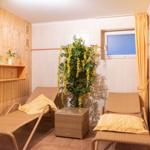 Sauna mit zwei Liegen, Pflanze und Fenster mit Vorhang.