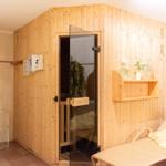 Sauna mit Holzwand, Glasfront und Liegestuhl. Auf Regal stehen Flaschen und Pflanzen.