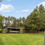 Backyard with boat shed, lawn, and trees under blue sky.