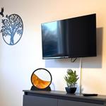 Wandmontierte TV, dekoratives Wandbild und Pflanze auf Konsole