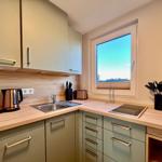 Küche mit Arbeitsfläche, Spüle, Herd und Fenster. Geschirr und Küchenutensilien sind vorhanden.