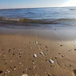 Strand mit Muscheln und sanften Wellen