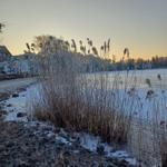Schneebedeckter See mit Schilf und Häusern im Hintergrund bei Sonnenuntergang.