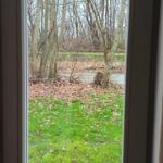 Blick aus dem Küchenfenster nach Nordwest Whg Peter Paulsen