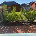 Hinterhof mit Grünflächen, Pflanzen und Terrasse unter blauem Himmel.