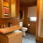 Bad mit Waschbecken, Toilette und Dusche. Holzwand und -decke.
