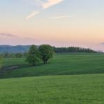 Weitläufiges Grasland mit Bäumen und Bergen im Hintergrund bei Sonnenuntergang.