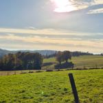 Die Seele baumeln lassen direkt vor der Haustür.