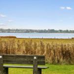 Wooden bench in front of grassland with view of water and shore.