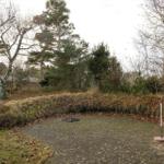 Paved area with trees and shrubs in the background.