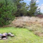 Feuerkorb mit Steinen im Garten unter Bäumen und Gras.