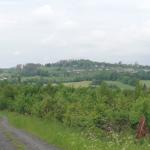Weg durch Grünland mit Blick auf bewaldete Hügel und Ferienhäuser im Hintergrund.