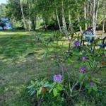 Grüner Garten mit Blumen und Tisch unter Bäumen am See