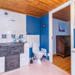 Badezimmer mit Toilette, Waschbecken und altem Ofen. Blaue Wände und Holzdecke.