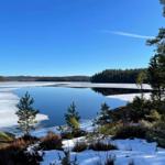 Schneebedeckter See mit Wald und klarem Himmel