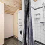 Bath with shower and washing machine in adjacent space