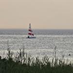 Segelboot mit rotem Segel auf ruhigem Wasser, im Vordergrund hohes Gras.