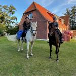 Tommy und Billy mit Gastkind zu Besuch während eines Ausritts durch die schöne Natur der Insel.