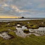 Wassermarke mit Gras und einem Haus am Wasser