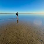 Eine Person geht durch flaches Wasser auf einem sandigen Ufer mit Windrädern im Hintergrund.