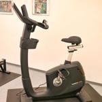 Fitnessrad mit Sitz und Griffen auf Matte in Raum mit Wandbildern