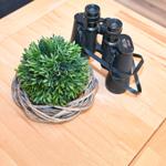 Auf dem Tisch stehen ein schwarzes Fernglas und eine grüne Pflanze in einem Korb.