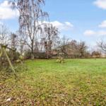 Green garden with swing set and trees under blue sky.