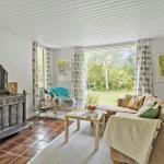 Living room with sofa, fireplace, and view of a garden.