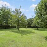 Large green garden with trees and hedge under blue sky.