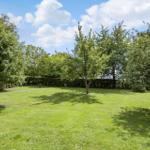 Lush green lawn with trees and hedge under blue sky.