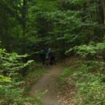 Wanderweg Richtung Sommerberg