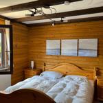 Bedroom with wooden walls, bed, nightstands, and window view of landscape.