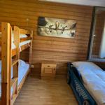 Room with wood wall, bunk bed, and car bed. Wall picture shows airplane.