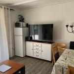 Living and dining area with TV, refrigerator, and table with chairs.