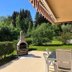 Terrace with table, chairs, and stone oven. View of green garden and forest.