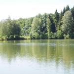 A calm lake with green shoreline vegetation and trees in the background.