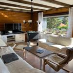 Living room with sofa, chairs, and TV. Wooden walls and large windows.