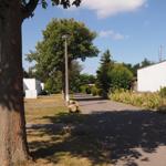 Schattiger Weg zwischen Bäumen und weißen Häusern mit Garten und Steinen.