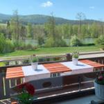 Terrace with table, flowers, and view of lake and forest.