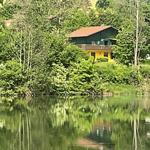 A house with a yellow lower section and green roof stands by a lake, surrounded by trees.