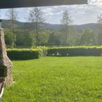 Green lawn with stone fireplace and view of forest and lake.
