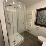 Bathroom with shower, heater, and toilet. Window with decorative glass.